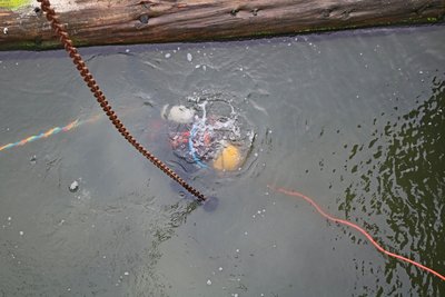 Beim Anbringen der Kranhaken an jene Dammtafeln, die unter Wasser liegen, ist ein Taucher im Einsatz. 