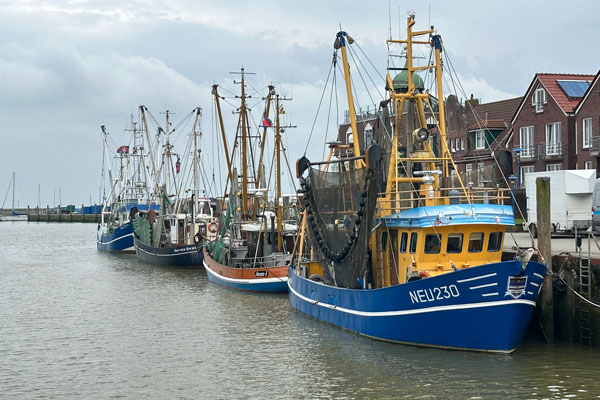 Blick in den hafen Bensersiel mit drei Kuttern am Kai