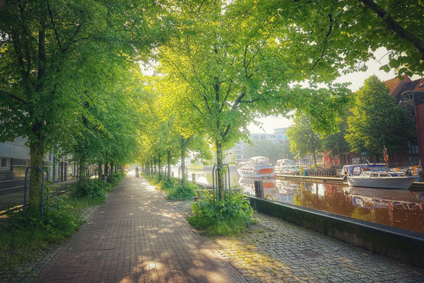 Fahrradweg unter Bäumen am Hafen in der Stadt Oldenburg